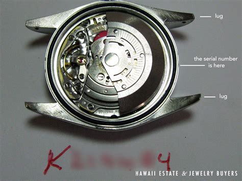 rolex ring betekenis|Rolex watch serial number.